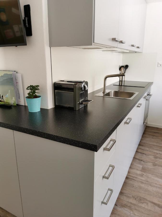 Tgesa Dutg Grond Apartman Sedrun Kültér fotó