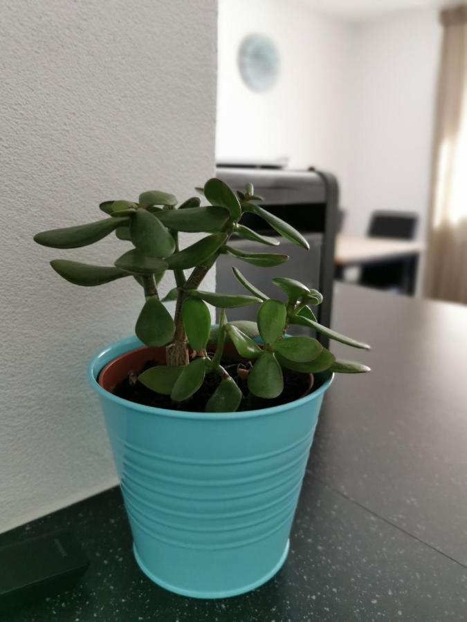 Tgesa Dutg Grond Apartman Sedrun Kültér fotó